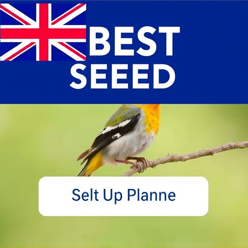 Best Wild Bird Seed Delivered UK