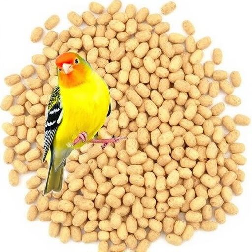 Bird feeding suet pellets wholesale UK