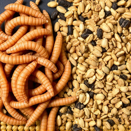 Dried mealworms next to seed mix