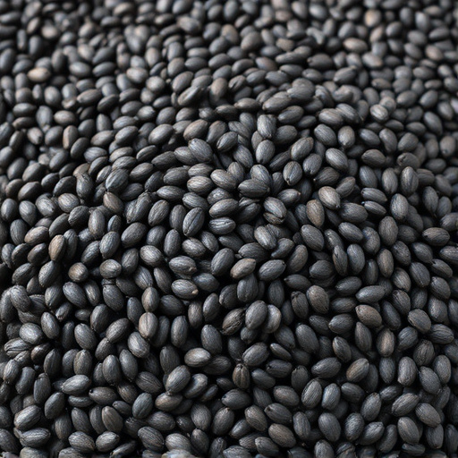 Attract Wild Birds: Best Seed Mixture for Optimal Health