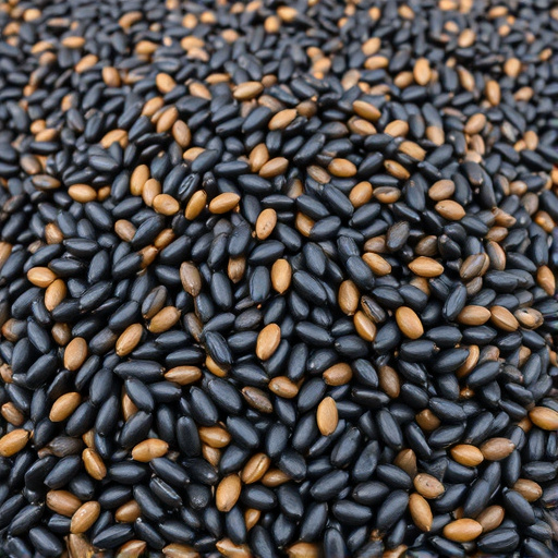 Heap of black oil sunflower seeds