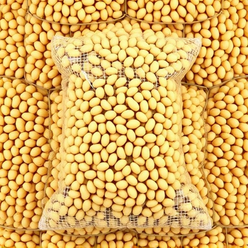 Large sack of premium sunflower hearts