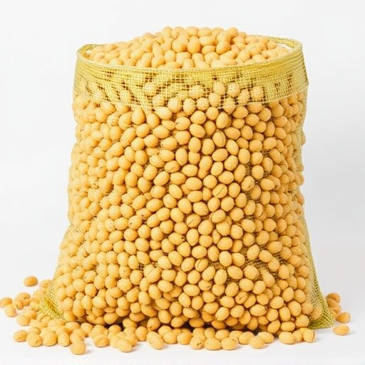 Large sack of premium sunflower hearts