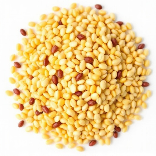 Exploring Different Types of Bird Seed Options and Benefits