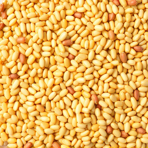 Mixed seed blend with millet and maize