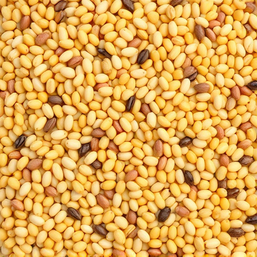 Mixed seed blend with millet and maize