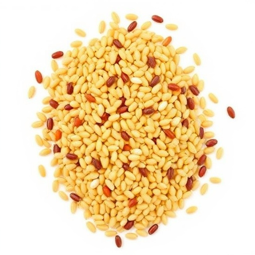 Discover Creative Uses of Different Wild Bird Seed Types