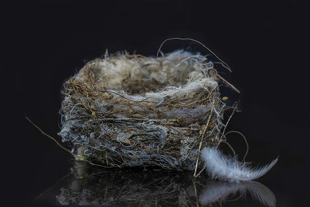 Nesting birds fed soft insects