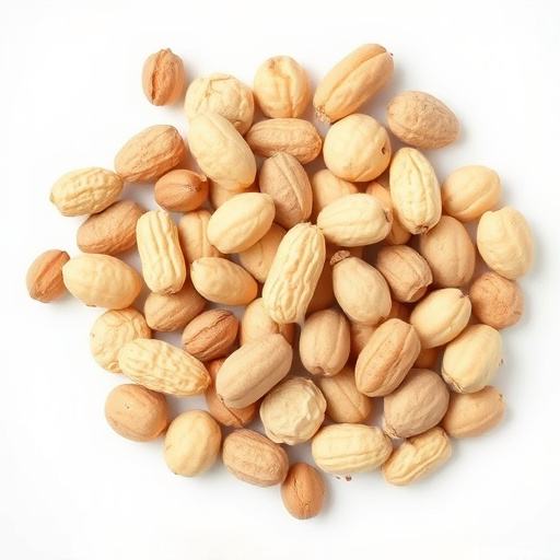 Feed Sheffield's Small Birds for Less: Free Peanuts with Top-Quality Feeders
