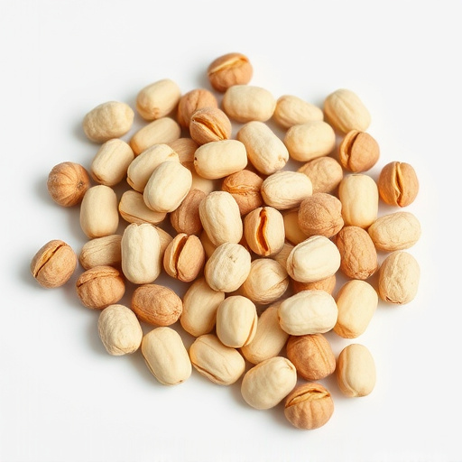 Squirrel-Proof Bird Feeder: Keep Peanuts Safe, Enjoy Mess-Free Cleaning!