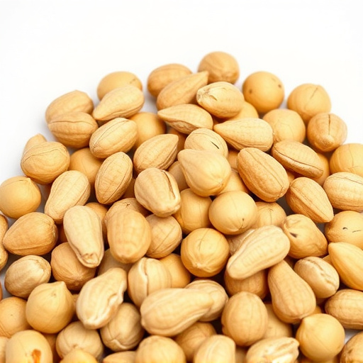 Revolutionize Bird Feeding in London: Keep Peanuts Safe, Squirrels Out!