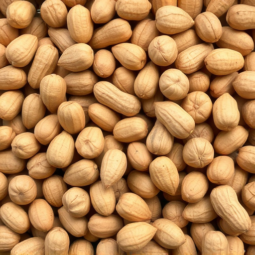 Transform Your Garden: Bristol's Best Bird Feeders - Free Peanuts &amp; Nectar Combo!