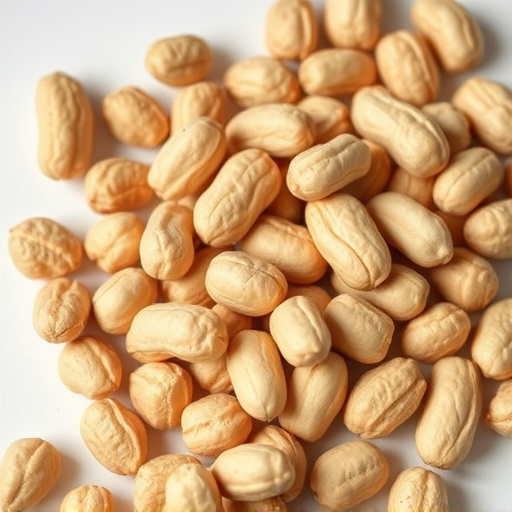 Bulk Peanuts for Birds Manchester: Save Big with Free Shipping!