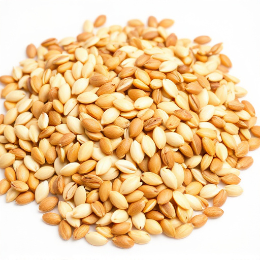 Sunflower seeds and grains mix