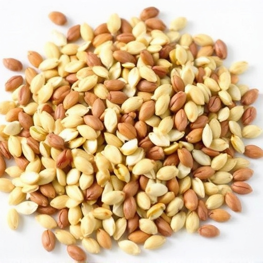 Sunflower seeds and grains mix