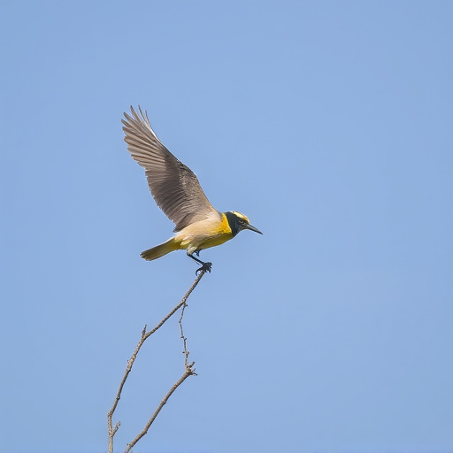 Wild Bird