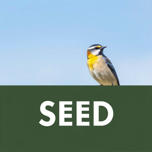 Best Wild Bird Seed Delivered UK