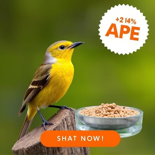 Bird food subscription with promotional offer