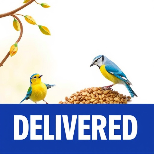 Bird Seed Delivered