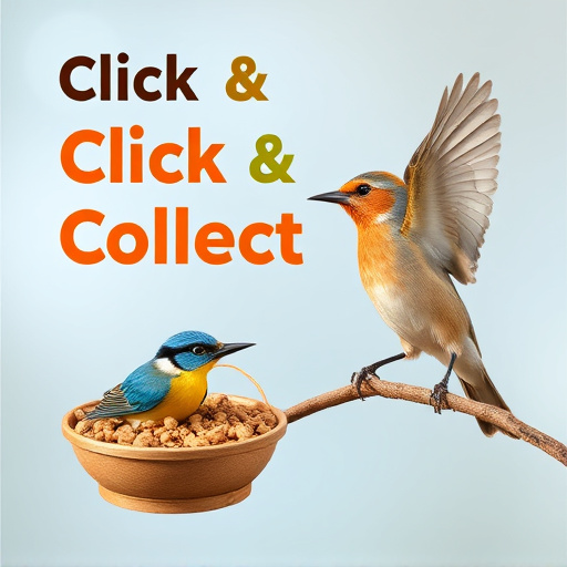 Click-and-collect bird food website banner