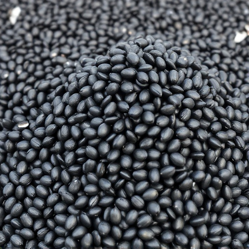 Uncover Top Wild Bird Seed Picks for Optimal Nutrition