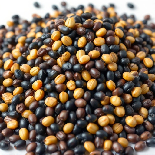 Heap of black oil sunflower seeds