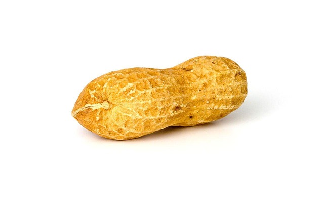 Mesh feeder filled with whole peanuts