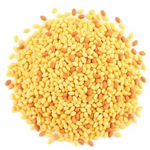 Mixed seed blend with millet and maize