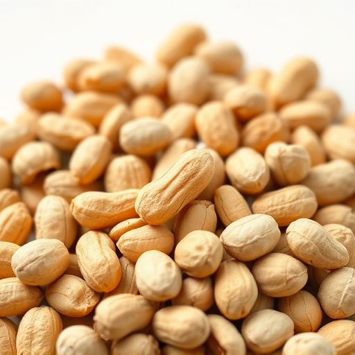 Save Big on Premium Peanuts for Birds in Cardiff – Free Shipping!