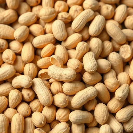 peanuts-640x480-22441478.jpeg