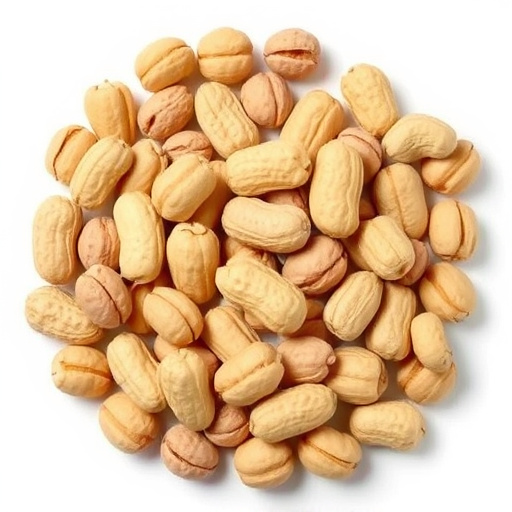 Nutritious Peanuts for Birds Bradford: Enhance Your Feathered Friends' Health Today!