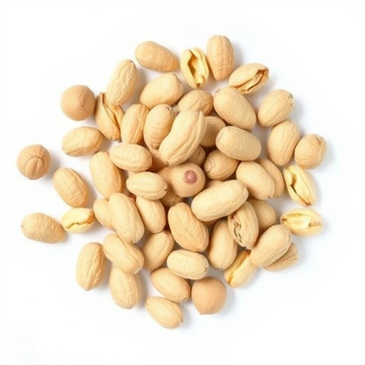 Attract Birds with Peanuts: The Ultimate Bradford Feeder for Happy, Healthy Birds &amp; Your Wallet!