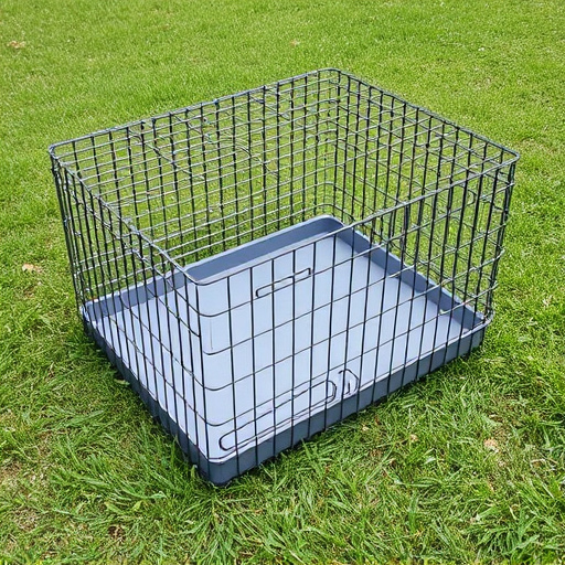 Caged Ground Feeders: Comparing Natural Needs and Welfare