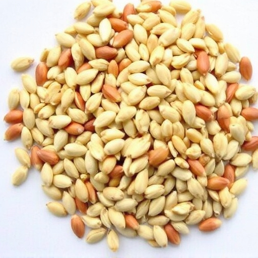 Cheap Bird Seed UK: Tips for Quality Savings