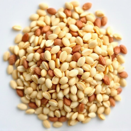 Cheap Bird Seed UK: Guide to Affordable Feeder Options