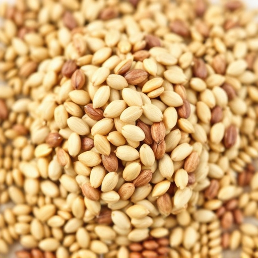 Sunflower seeds and grains mix