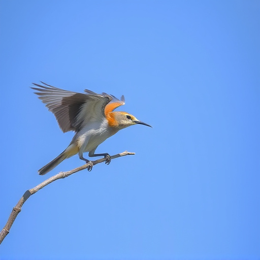 Wild Bird