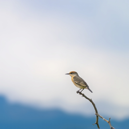 wild-bird-640x480-49229675.jpeg