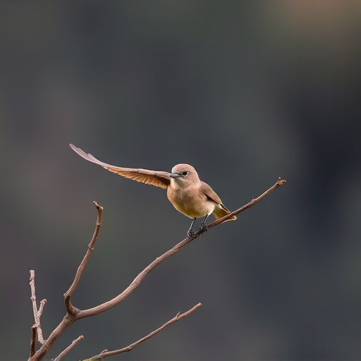 Wild Bird