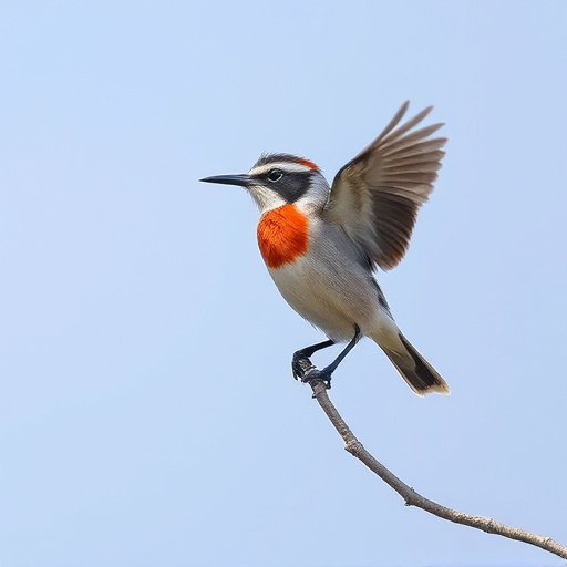 Stock Up on Bulk Peanuts: Feed More Birds in Leeds at Great Prices!