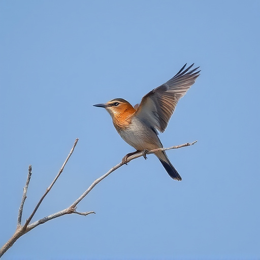 Wild Bird