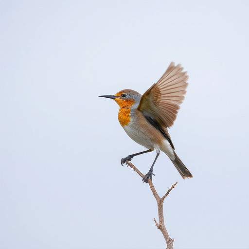 Wild Bird