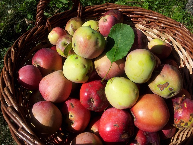 Add-to-basket screen with seed varieties