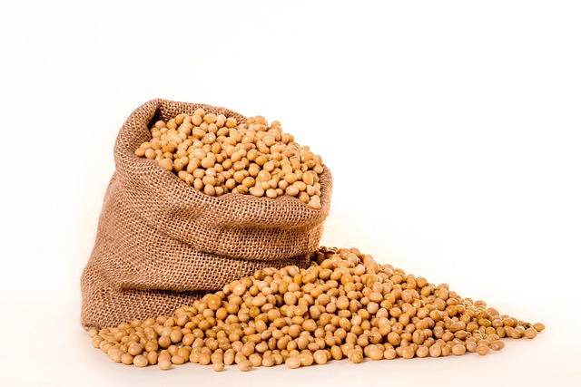 Assorted bird seed bags ready shipment