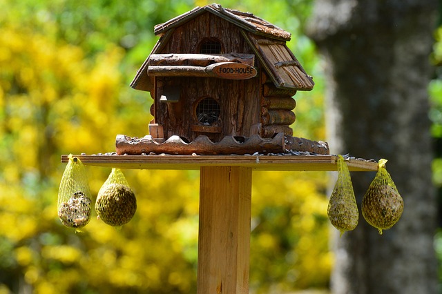 Assorted UK bird feed on webpage