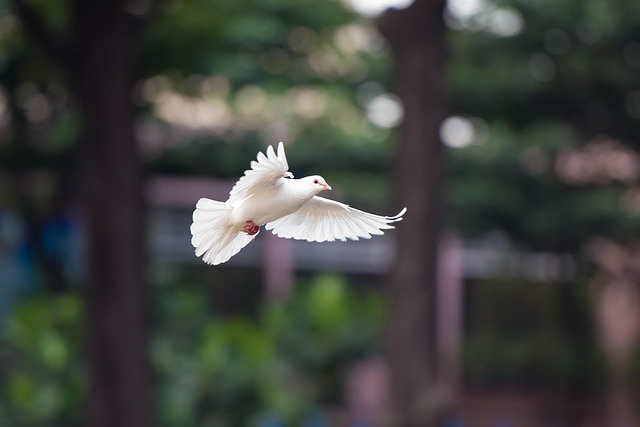 Bird bath with splashing sparrows mid-flight
