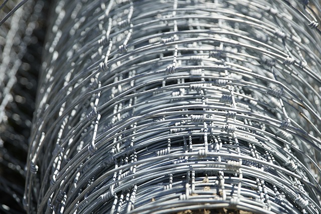 Bird feeder protected by wire mesh