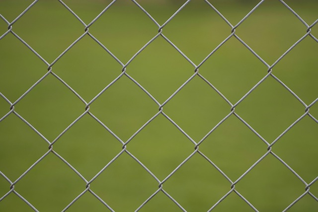 Bird feeder protected by wire mesh