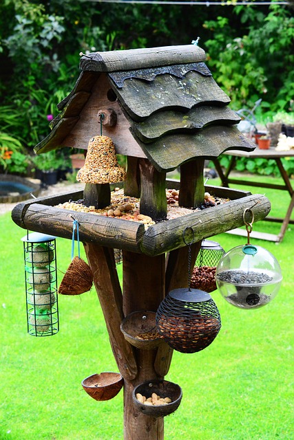 bird feeder station
