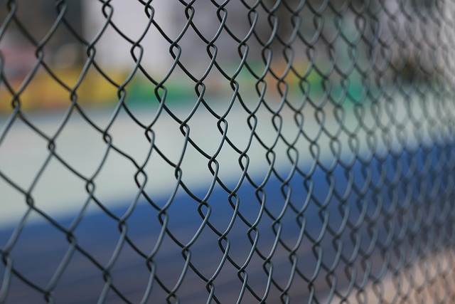 Bird feeder surrounded by wire mesh
